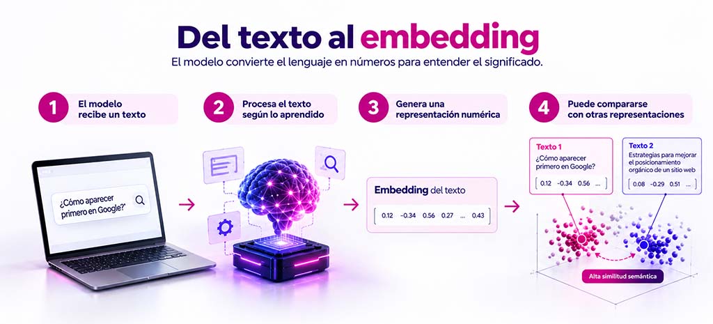 Embeddings y SEO semántico: qué debes saber embedding seo semantico